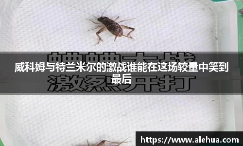 威科姆与特兰米尔的激战谁能在这场较量中笑到最后